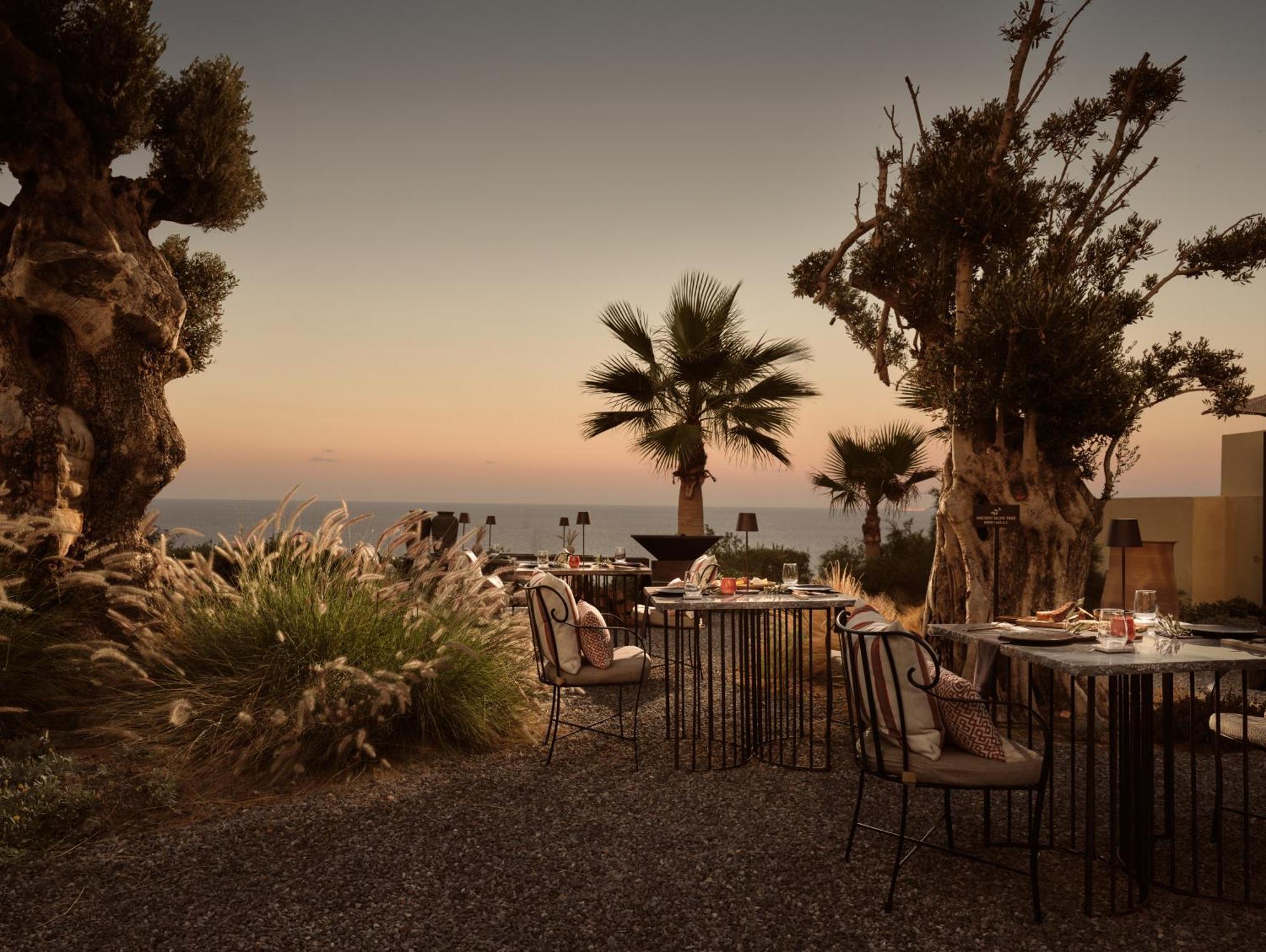Acro Suites - A Wellbeing Resort (Adults Only) Ajía Pelajía Kültér fotó